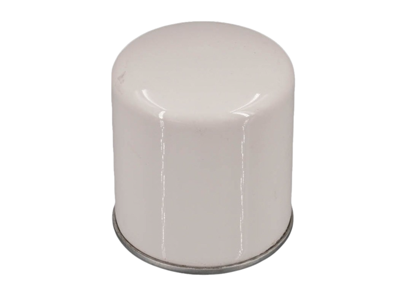 Doc's Auto Parts Fuel Filter DG6419