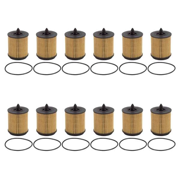 Doc's Auto Parts Oil Filter D5436 (Quantity 12)