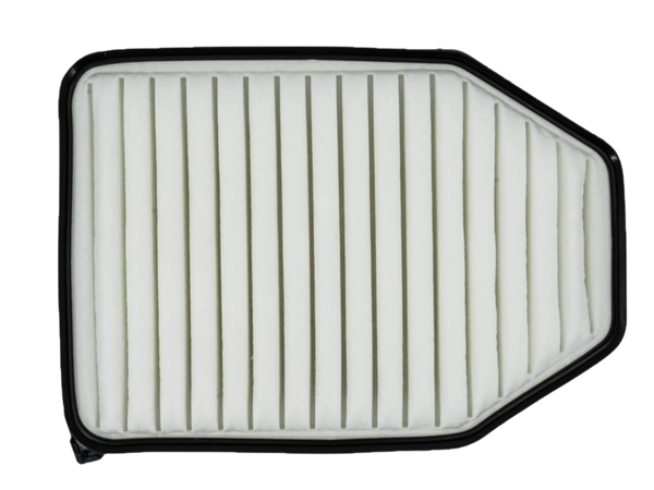 Doc's Auto Parts Engine Air Filter DA5819 (Quantity 1)