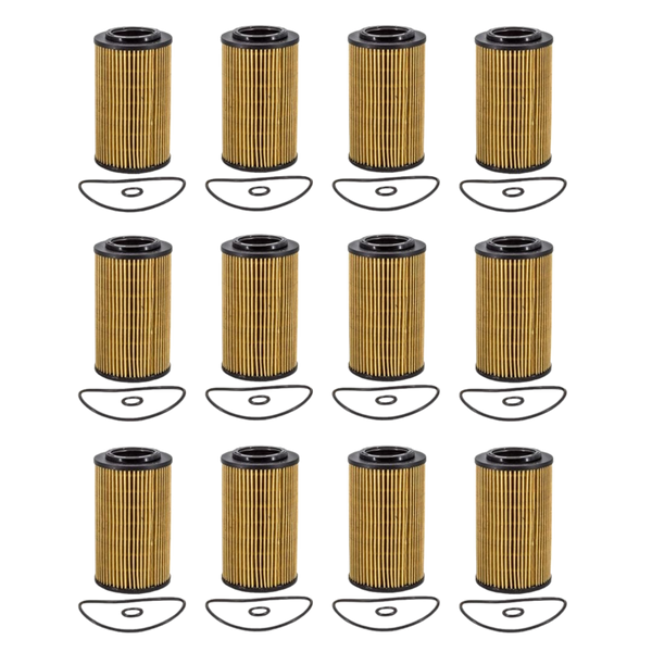 Doc's Auto Parts Oil Filter D5610 (Quantity 12)