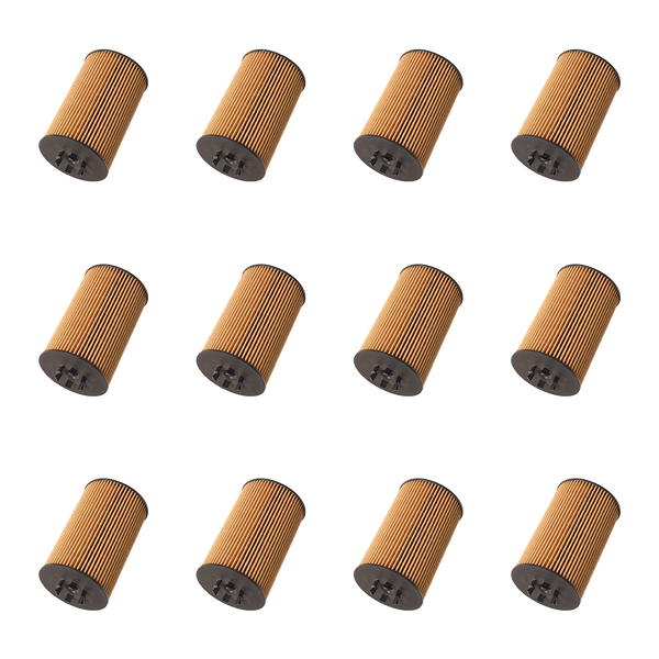Doc's Auto Parts Oil Filter D5906 (Quantity 12)