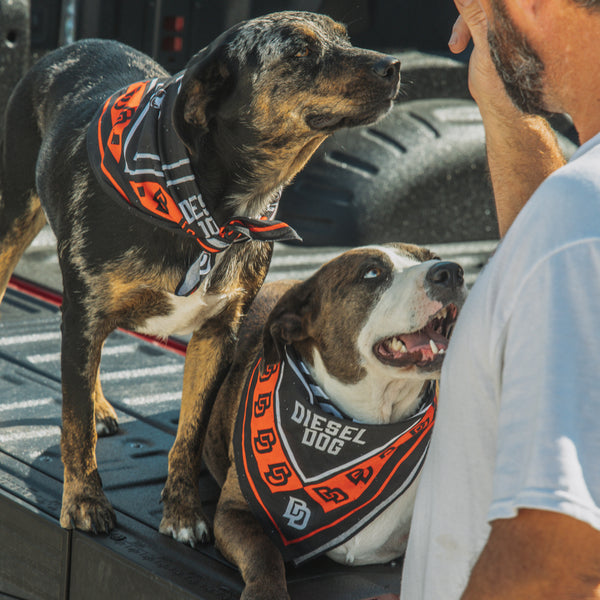 Doc's Diesel Dog Days Bandana Lifestyle