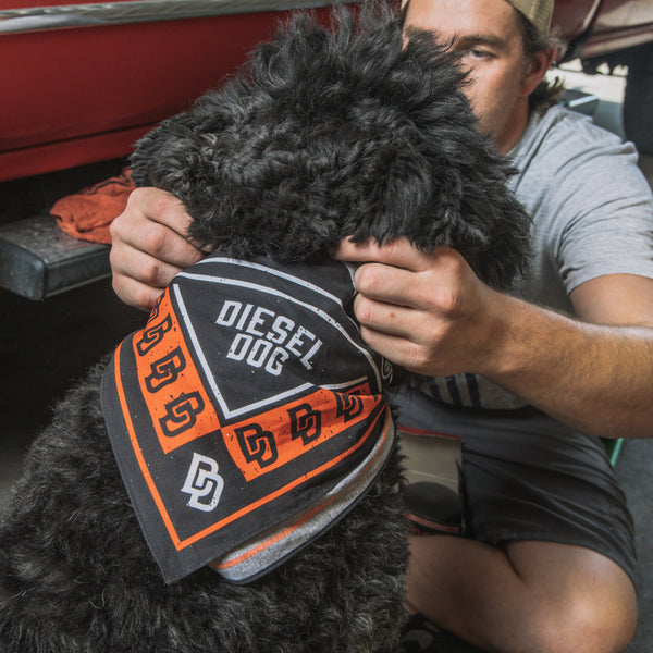 Doc's Diesel Dog Days Bandana Lifestyle