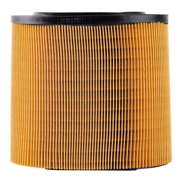 Doc's Auto Parts Engine Air Filter DA10579 (Quantity 1)