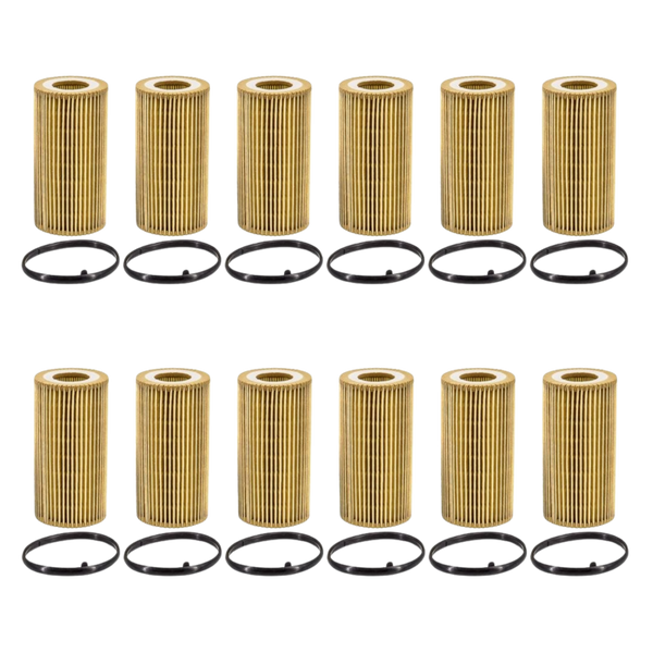Doc's Auto Parts Oil Filter D5581 (Quantity 12)