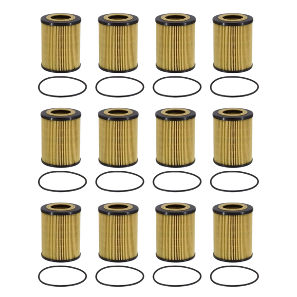 Doc's Auto Parts Oil Filter D5692 (Quantity 12)